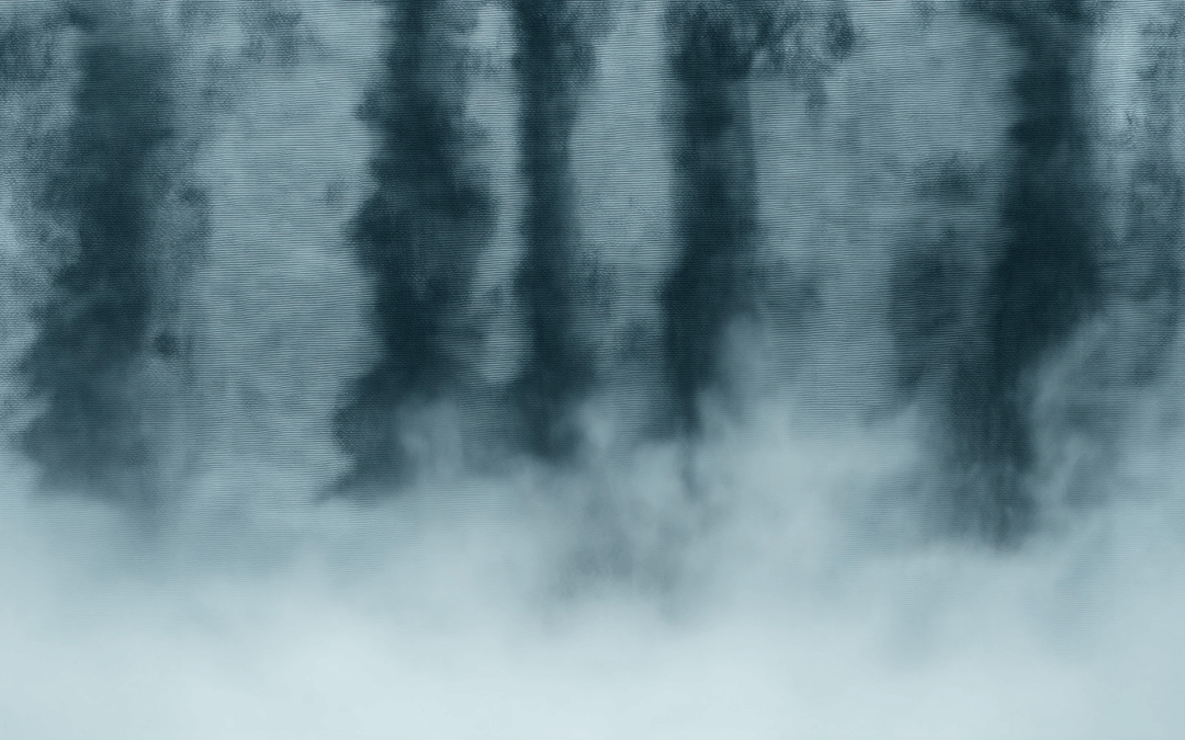 The Fog Climax Unveiled: Elizabeth’s Fate and the Fog’s Movement