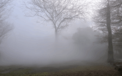 Unraveling The Fog Spin-offs: What You Need to Know