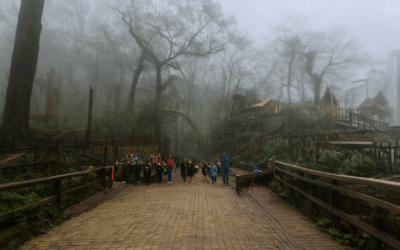Are The Fog Themed Attractions in Maryland Suitable for Kids? Exploring Their Features and Family-Friendly Fun