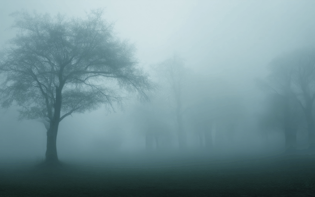The Influence of Fog on Filmmakers: Exploring Its Role in Storytelling and Symbolism