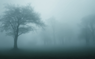 The Influence of Fog on Filmmakers: Exploring Its Role in Storytelling and Symbolism