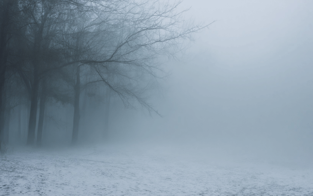 Discover How Fog Creates a Dramatically Chilling Atmosphere