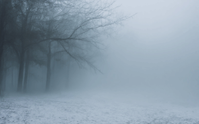 Discover How Fog Creates a Dramatically Chilling Atmosphere