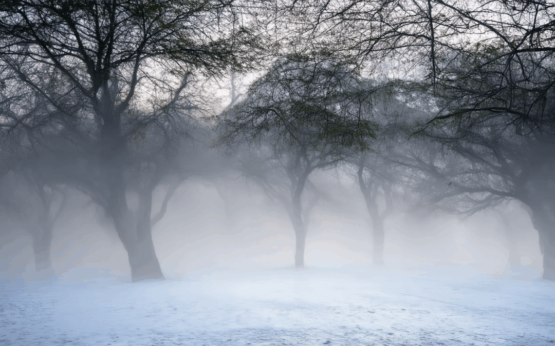 Unraveling the Fog of Suspenseful Moments