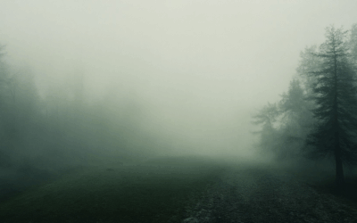 Unveiling the Mysteries of Fog-Bound Tales