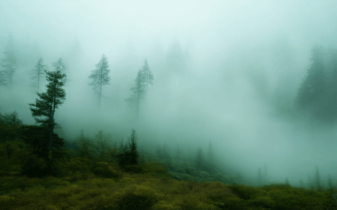 Decoding the Causes of the Mysterious Fog Disappearances in National Parks and Beyond