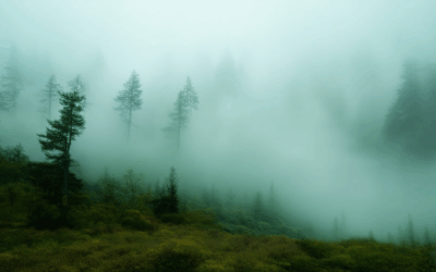 Decoding the Causes of the Mysterious Fog Disappearances in National Parks and Beyond