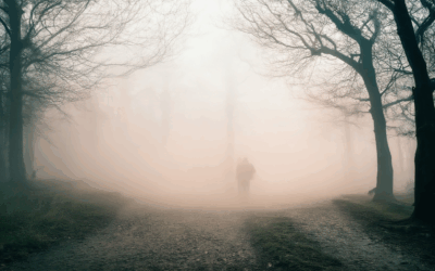 Decoding the Fog Visual Storytelling: A Comprehensive Guide to Its Elements and Techniques